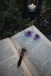 Image 1 of Shadow Mushroom