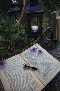 Image 3 of Shadow Mushroom