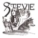 Image of STEVIE