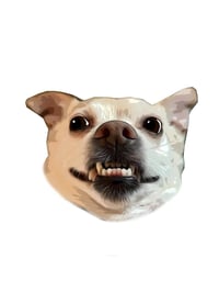 Image 4 of Design your own Pet Portrait Rug
