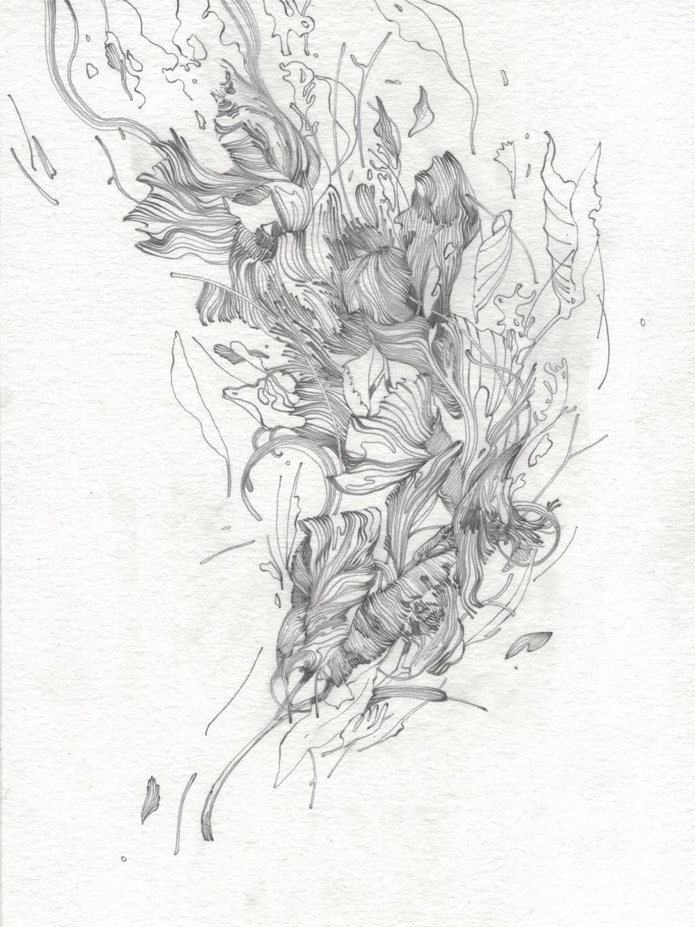 Image of Progressive Thought II