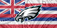 Eagles Hawaiian Flag