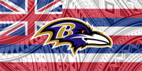 Baltimore Ravens Hawaiian Flag