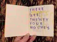 Image 2 of Twenty Four Wolves
