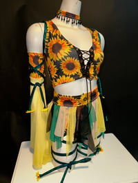Image 1 of Morgan - Sunflower 
