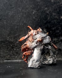 Image 5 of Cemental; "Mangliator"