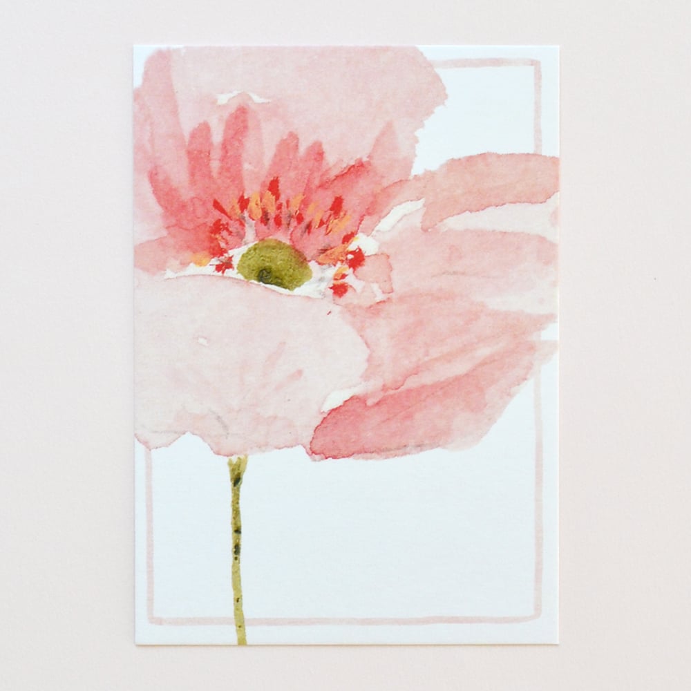 Image of CARTE POSTALE "anémone 1"