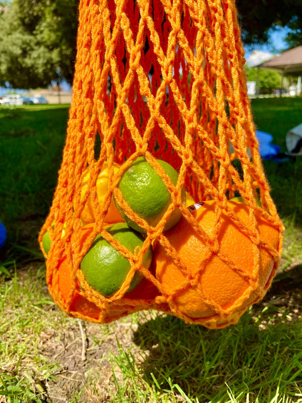 Image of Foldable Farmer's Market Fruit Bags