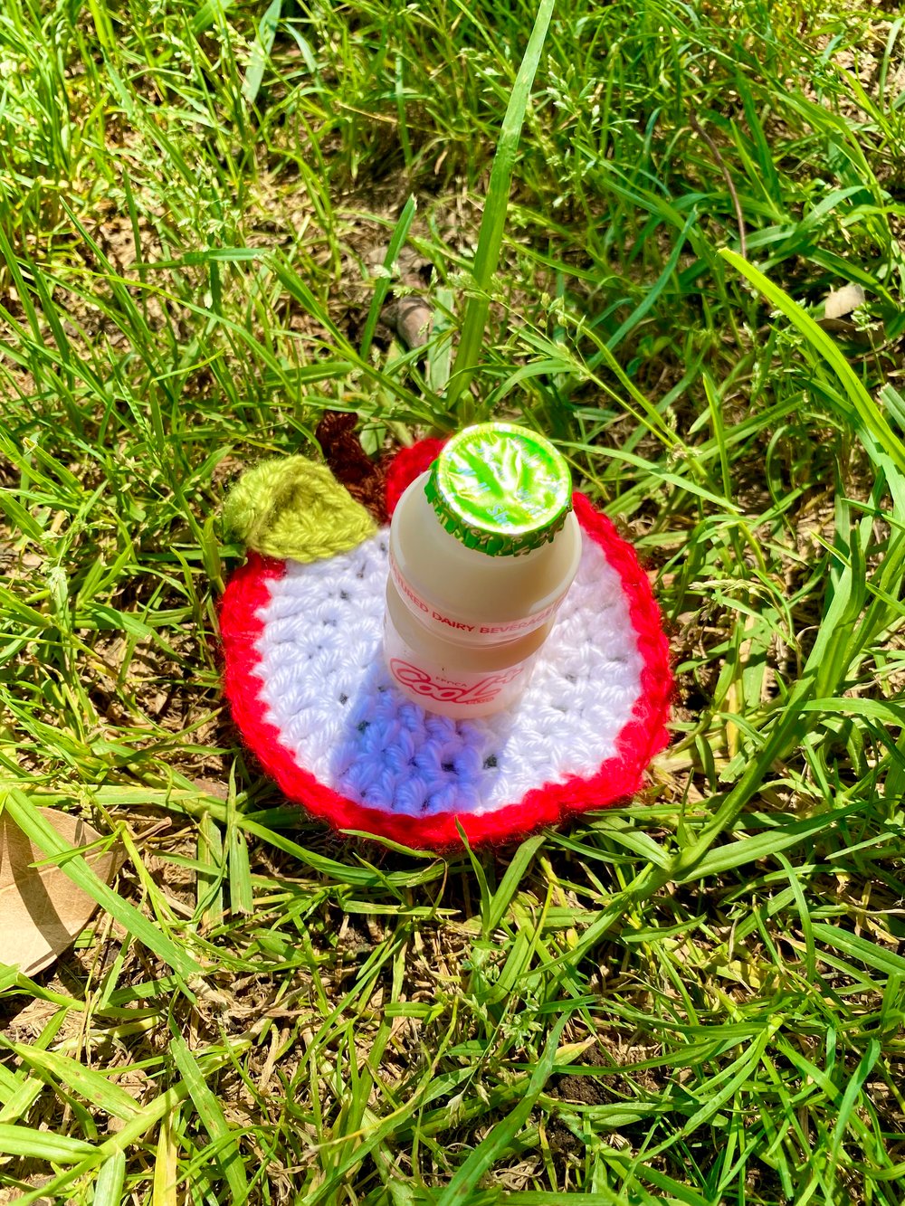 Image of Fruit Slice Coasters