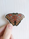 Emperor Moth Sticker