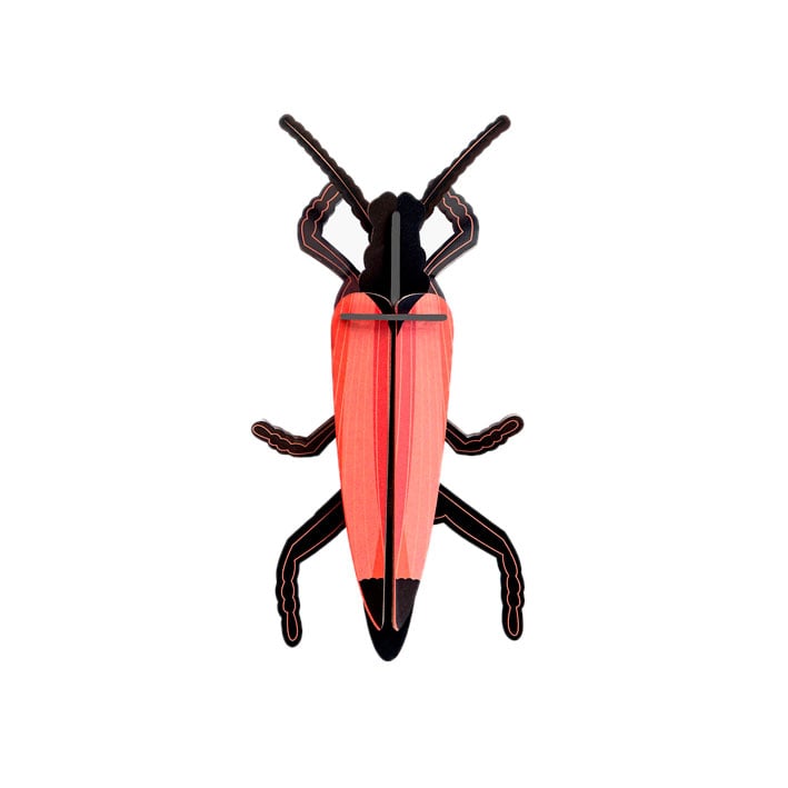 Escarabajos 3D montables