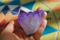 Image 3 of Amethyst Clusters 