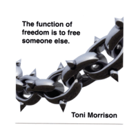 FUNCTION OF FREEDOM STICKER