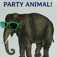 Image 2 of Party Animals (Ref. 539)