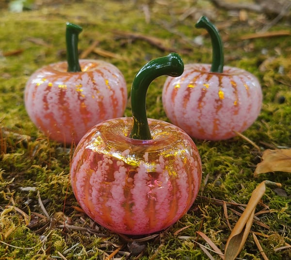 Image of White Pumpkin Set