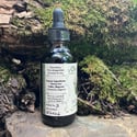 Mugwort | tincture 