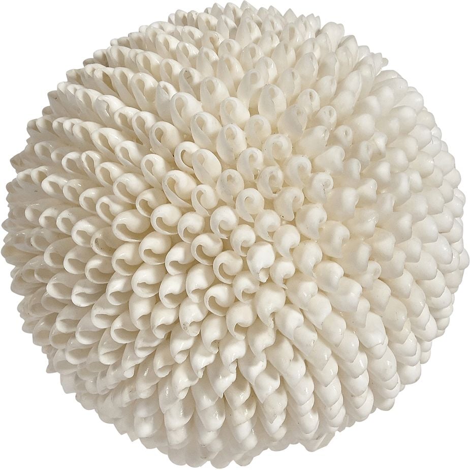 Image of Large 10 inch decorative orb of white sea shells