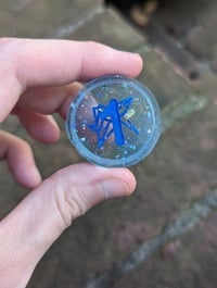 Image 2 of Blue Baby's Breath D2 Coin Single