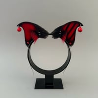 Image 1 of Red Jester Kitten