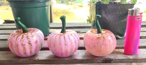 Image of White Pumkin Set #2