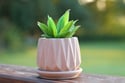 Nordic Style Concrete Planter with Saucer