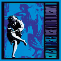 Guns N Roses - Use Your Illusion II (Vinyl) (Used)
