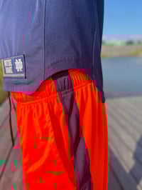 Image 2 of RALPH LAUREN POLO SHORTS