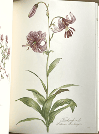 Image 6 of Vintage wild flower book