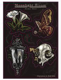 Image 2 of Moonlight Bloom