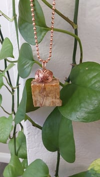 Image 4 of Petrified Wood Necklace