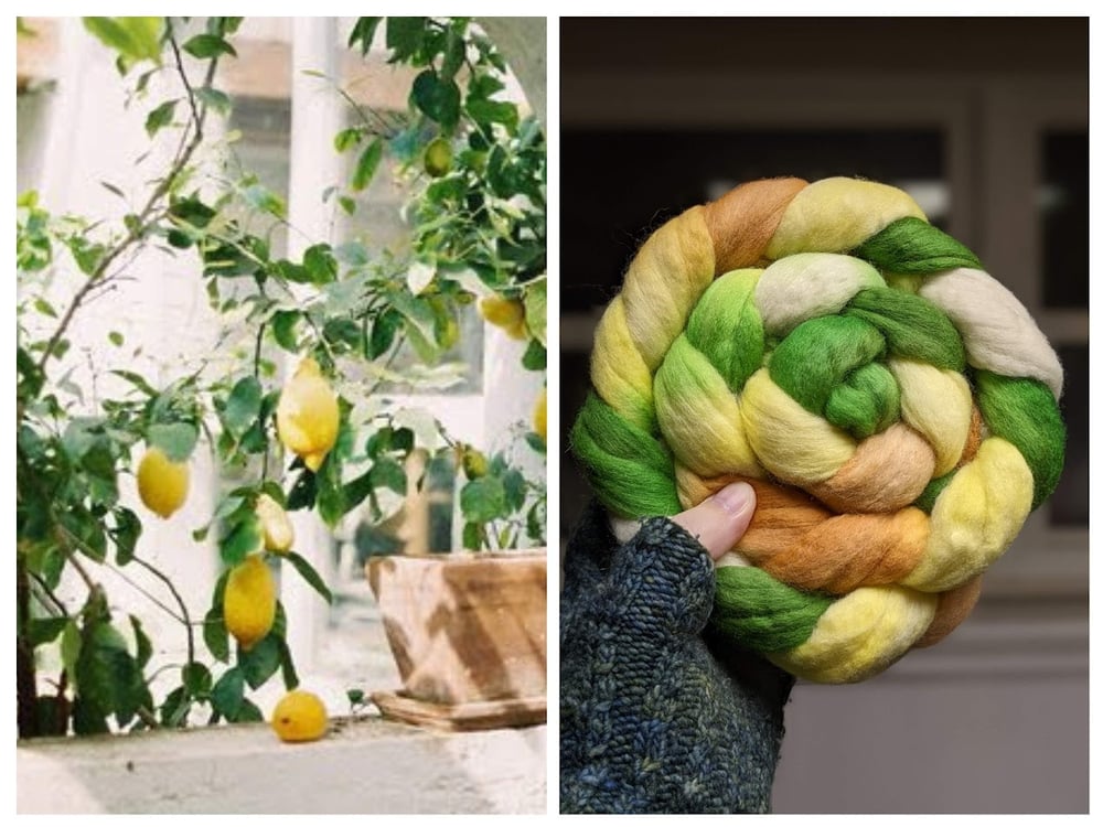 Image of Patio Lemon- Combed Top/Wool Roving - 4oz