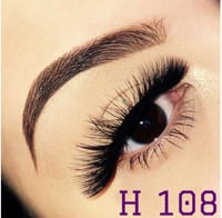 Image 1 of Exotic Mink Eyelashes  Styles H108, H26F, SH101, H12, and L509