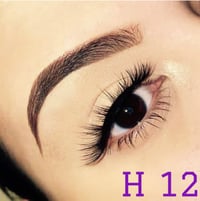 Image 4 of Exotic Mink Eyelashes  Styles H108, H26F, SH101, H12, and L509