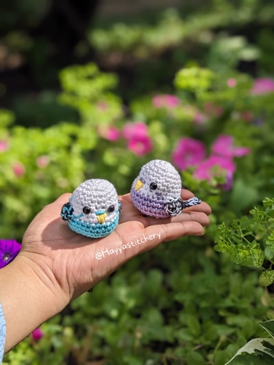 Image of Parakeet Pocket Pals!