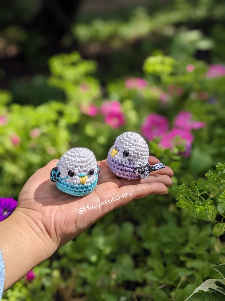 Image of Parakeet Pocket Pals!