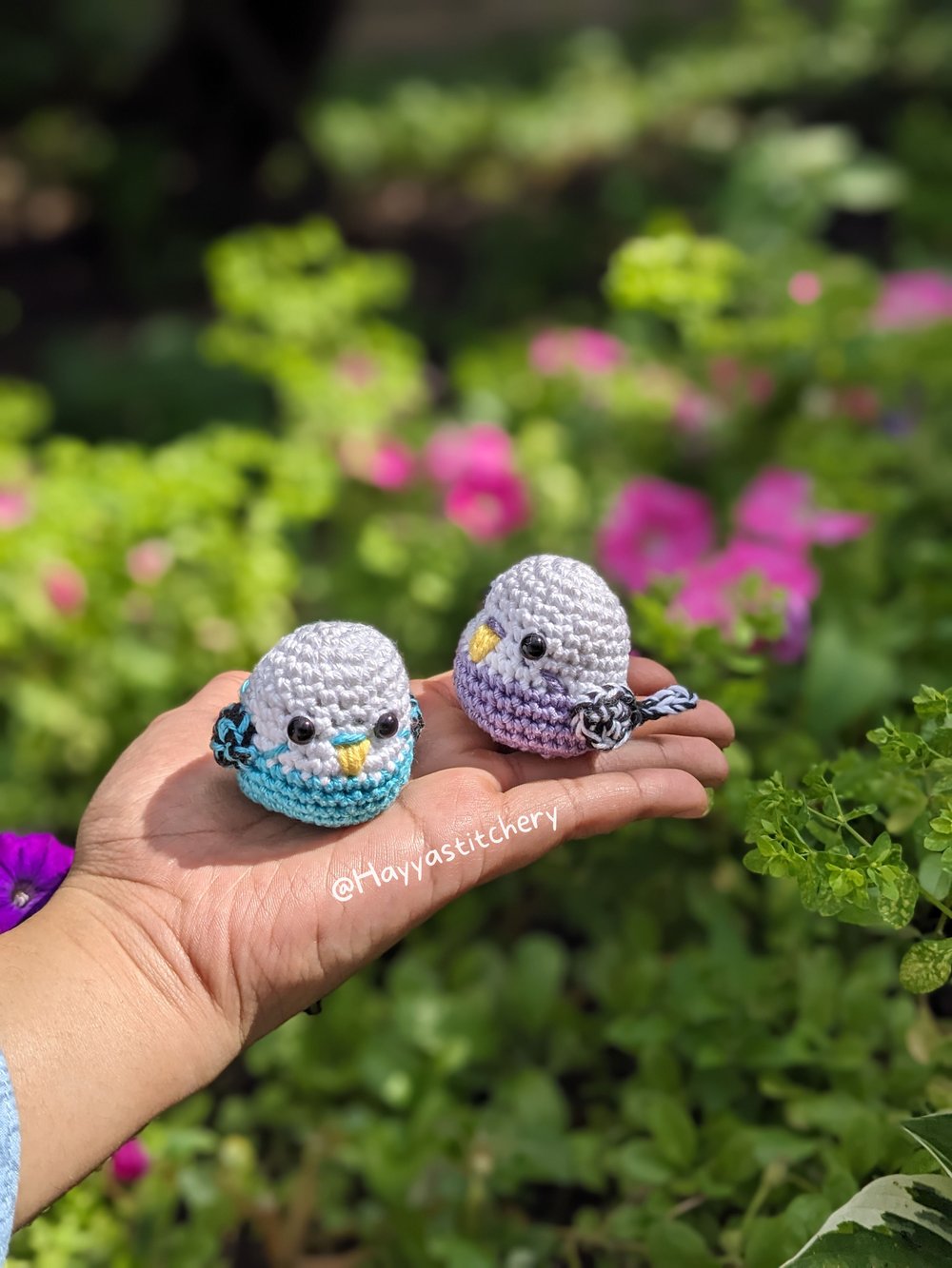 Image of Parakeet Pocket Pals!
