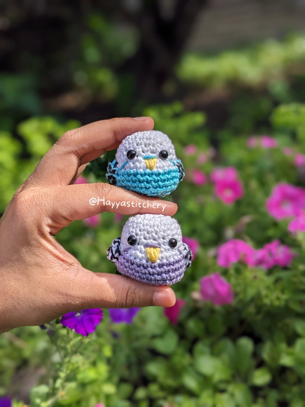 Image of Parakeet Pocket Pals!