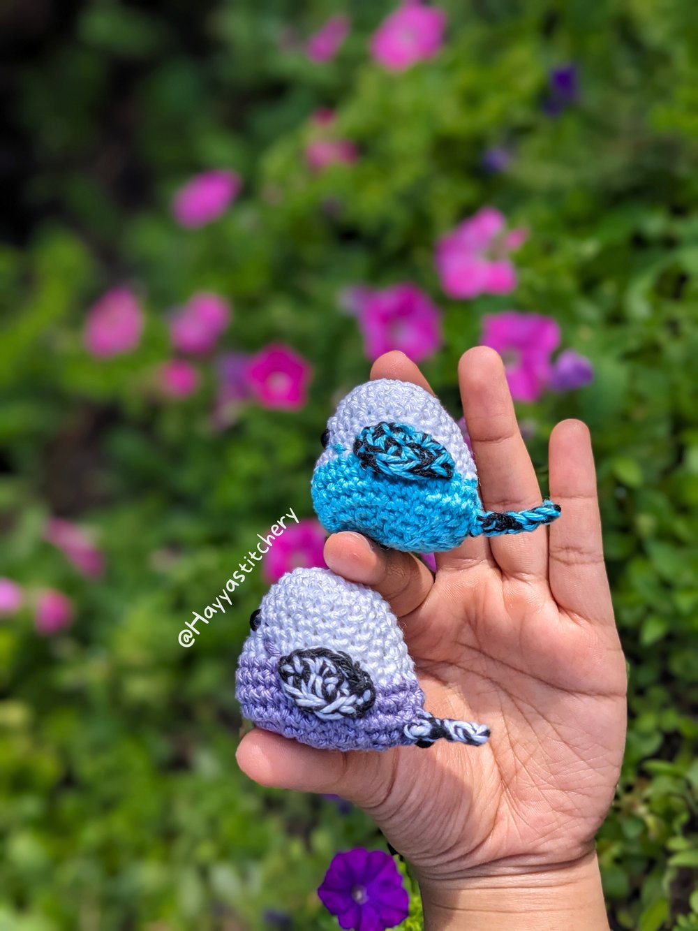 Image of Parakeet Pocket Pals!