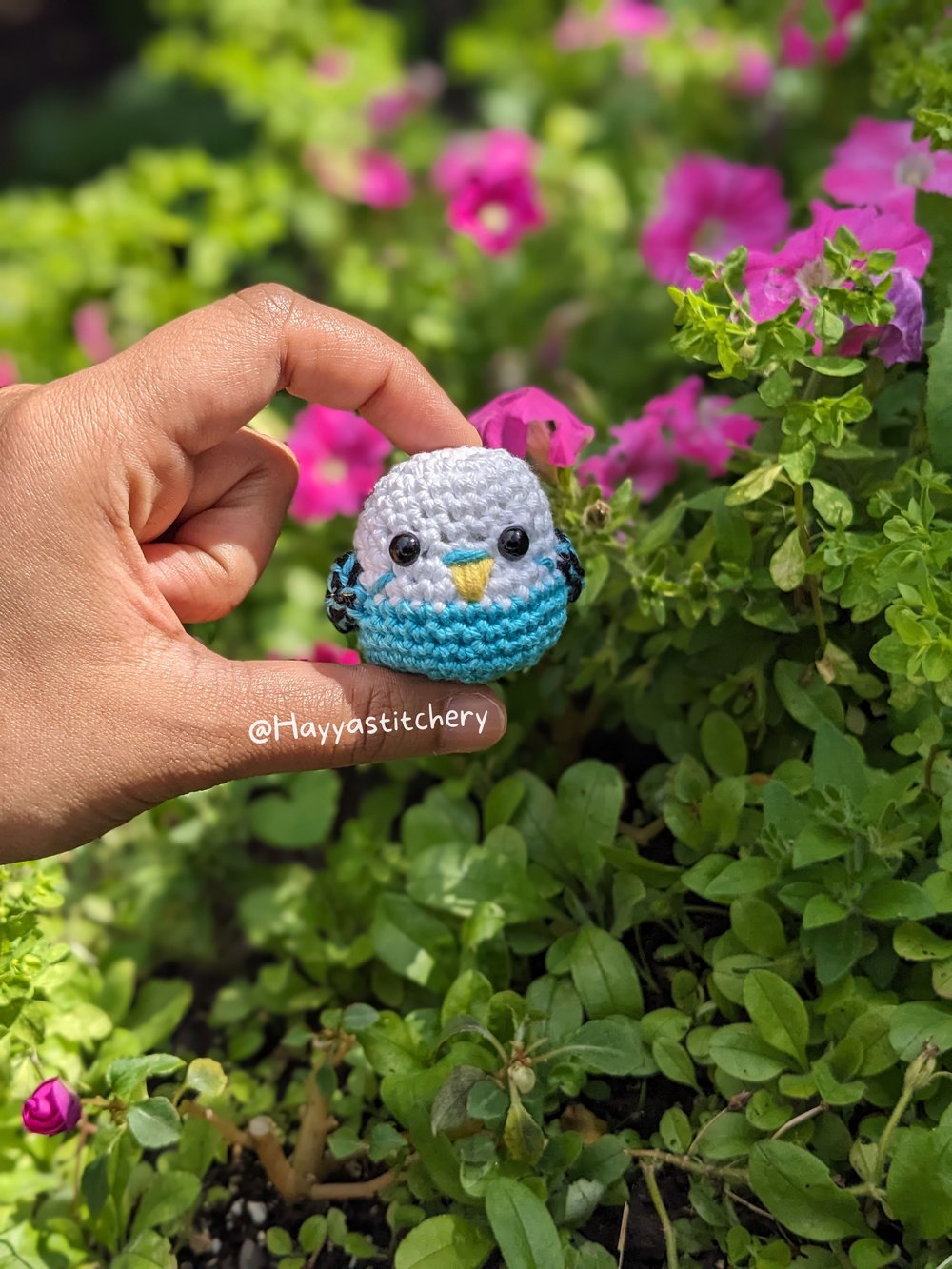 Image of Parakeet Pocket Pals!