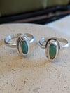 Little Turquoise Treasure 
