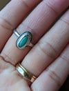Little Turquoise Treasure 