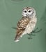 Image of Barred Owl ladies shirt