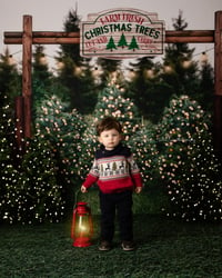 Christmas Mini Session - Tree Farm