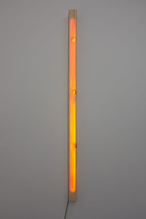 5. FIR(e) Light 100cm