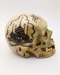 Image 1 of 1/1 criminal skull 