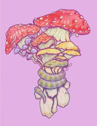 'Mushroom Bouquet' Print