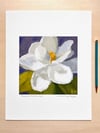 'Magnolia Monday'- archival print