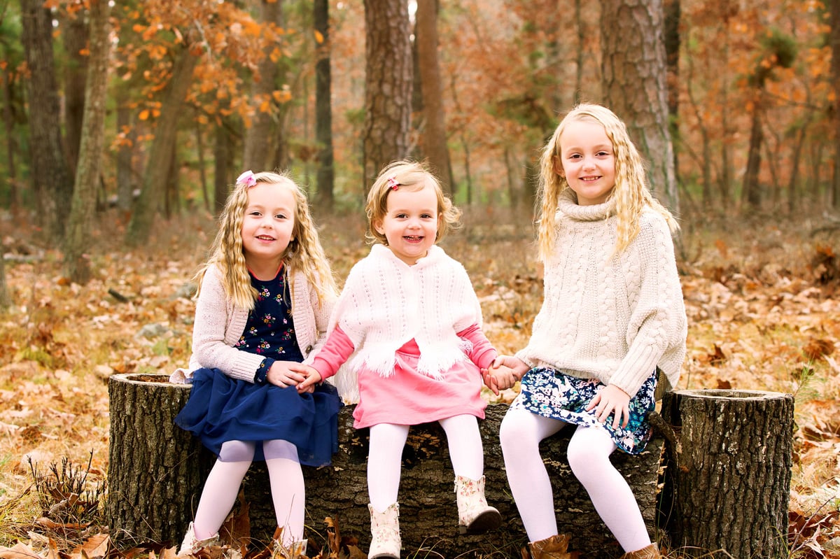 Image of Vintage Truck Holiday Mini **Deposit Only**