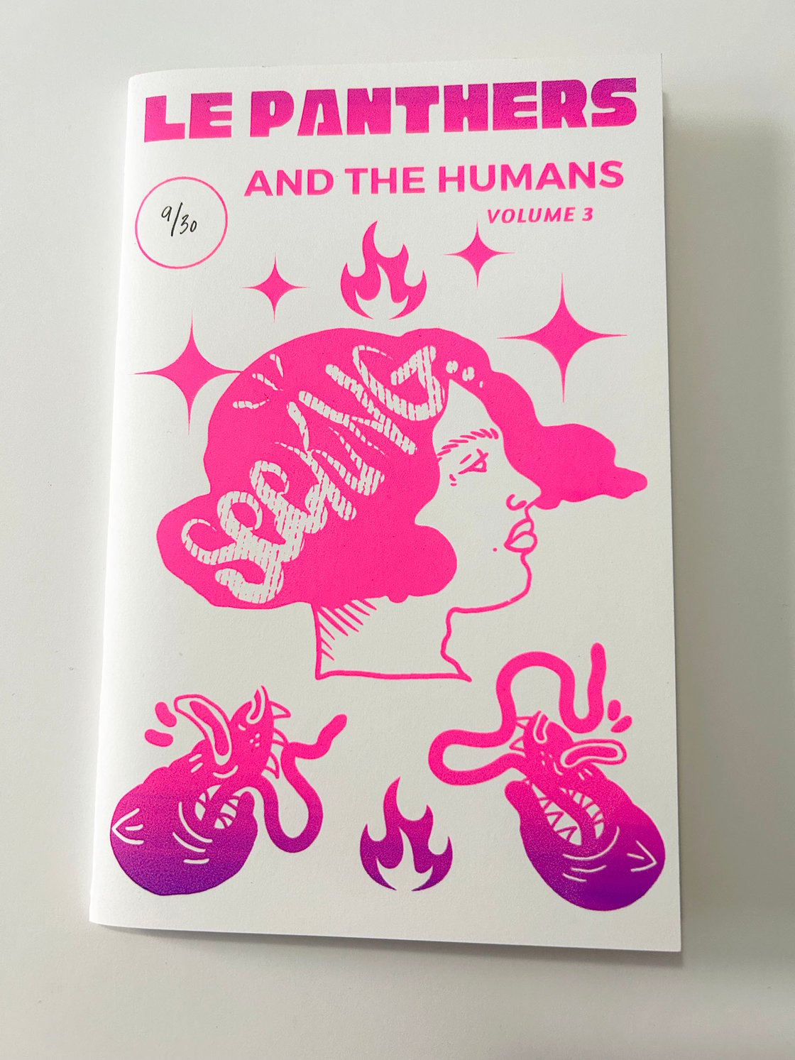 Image of 3rd Edition of Le Panthers and The Humans Zine