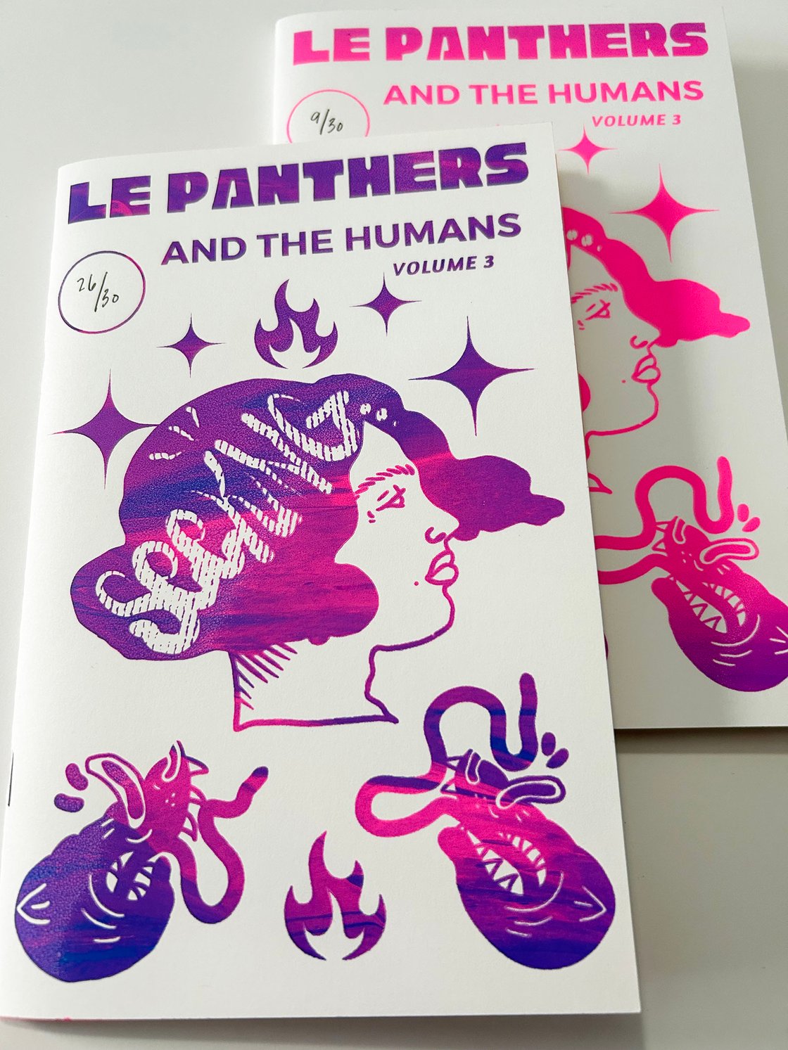 Image of 3rd Edition of Le Panthers and The Humans Zine